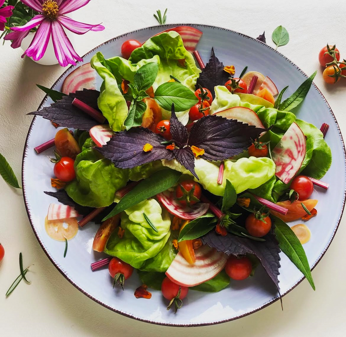 Kinoa_Daniella_030_26 décembre 2025